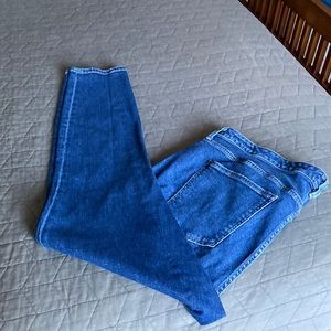 Citizen’s of Humanity Plus Size Skinny Jean 20W